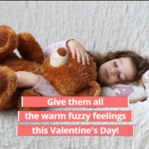 Valentine's Day plush toys