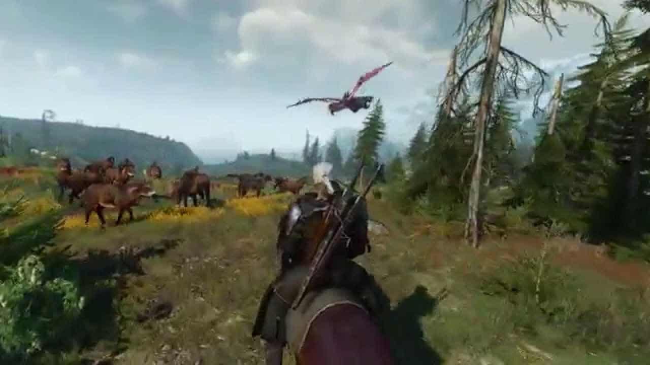  builds of The Witcher 3 